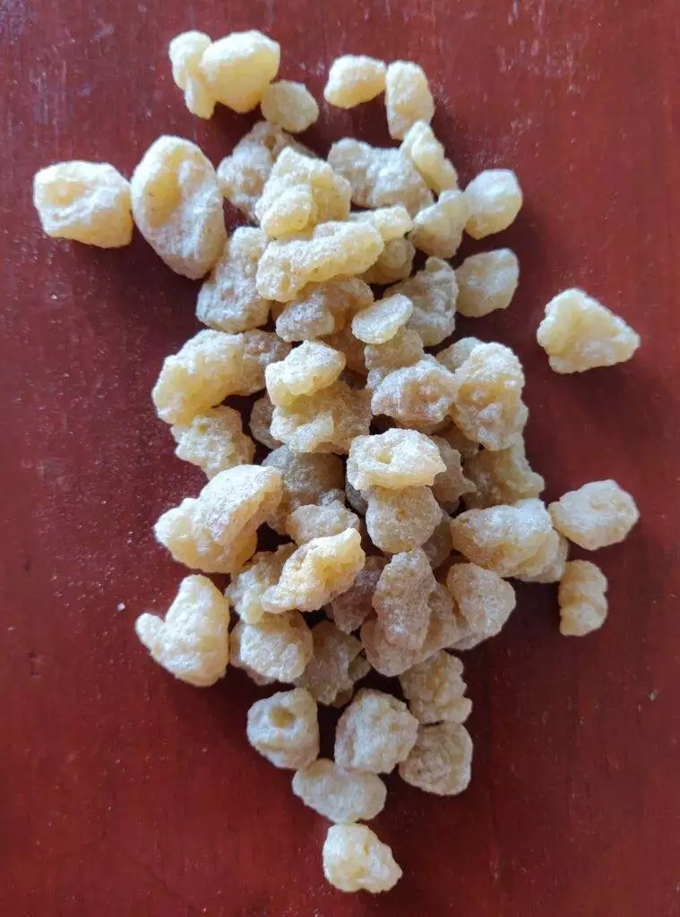 boswellia serrata gum resin