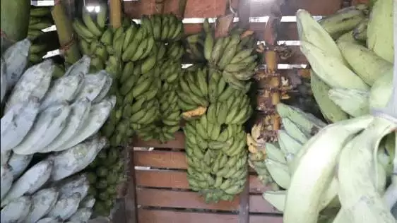 banana (5)