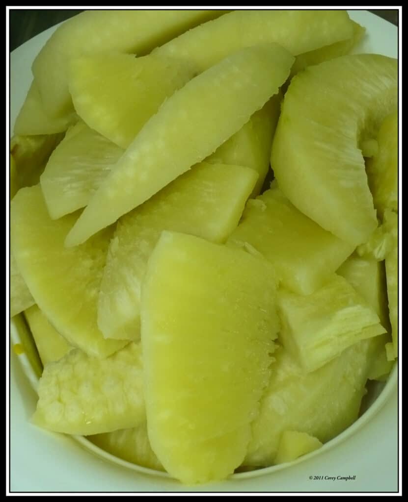 breadfruit (5)