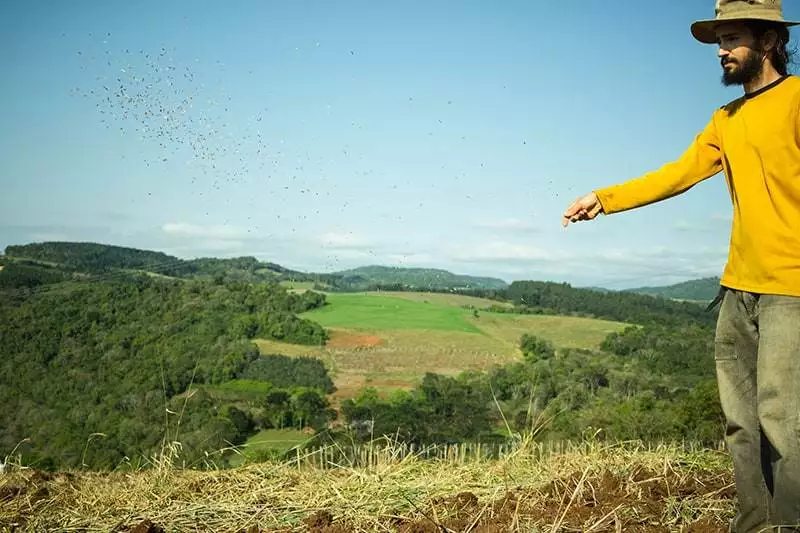 farmer spreading seeds