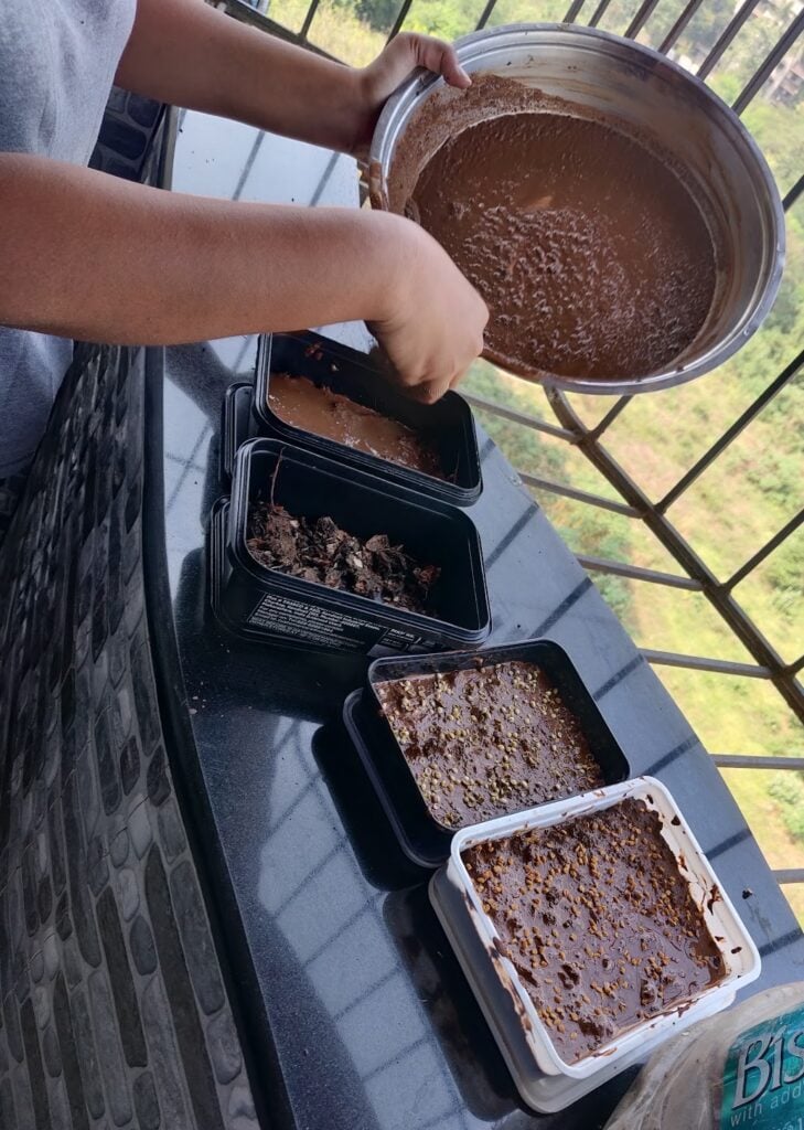 fenugreek in containers