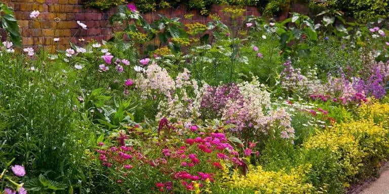 english herbaceous garden border