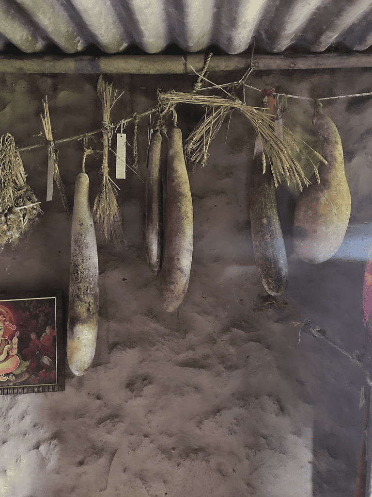 gourds, millets, wheat,  and garlic hung on a string