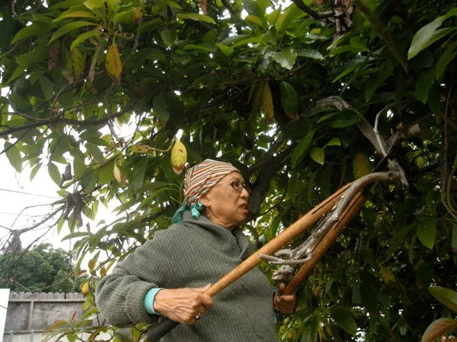 woman using pruning scissors