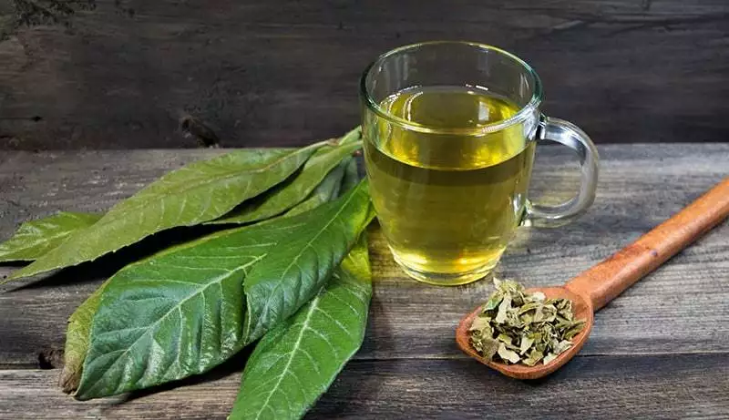 medicinal infusion of loquat leaves with honey, on rustic wooden background
