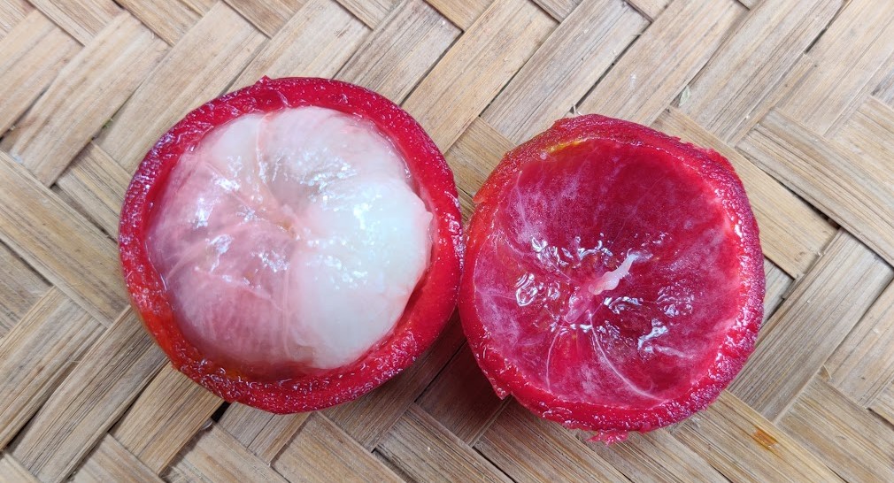 peel and interior of kokum fruit