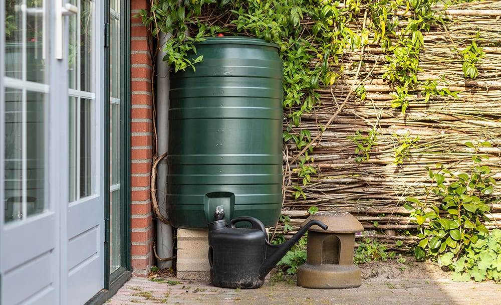 a green rain barrel to collect rainwater and reusing it to water