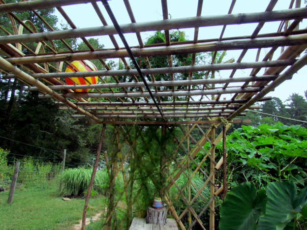 trellis made of bamboo 3